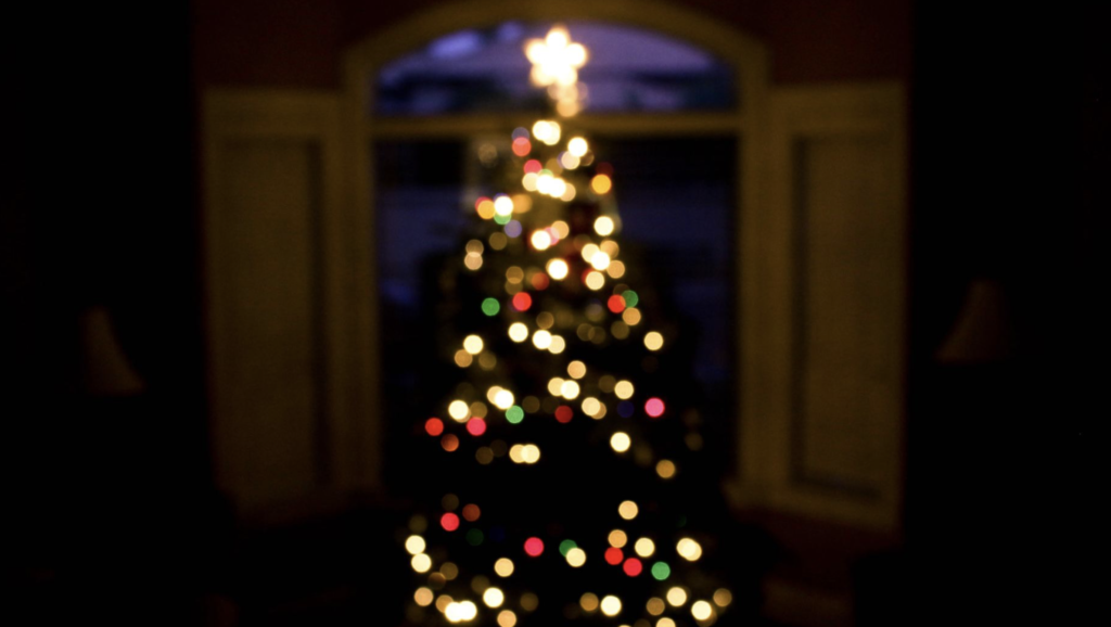 lighted Christmas tree soft focus