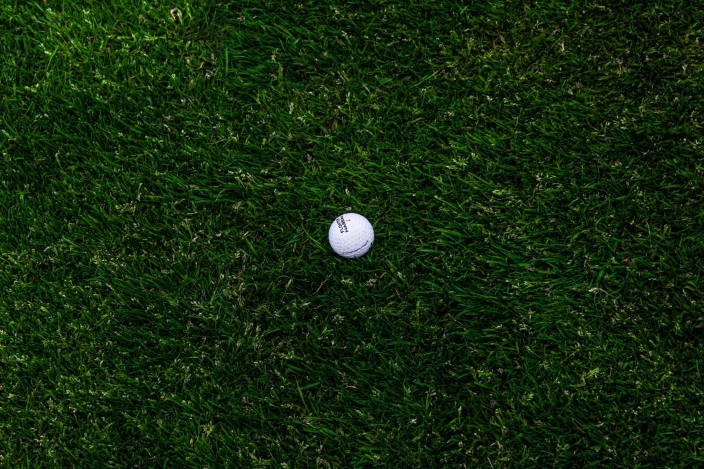 golf ball on turf grass